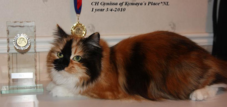 GYnissa