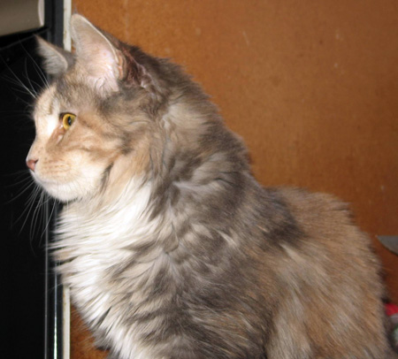 Eloise